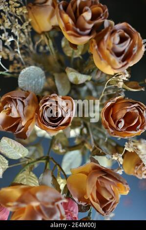 Eine Ansicht von oben Nahaufnahme von Herbst braun gefärbte künstliche Rosen auf schwarzem Hintergrund. Vertikal Stockfoto