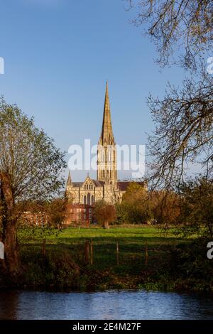 Blick über die Harnham Water Meadows auf den Turm der Salisbury Cathedral, südlich von Salisbury, Wiltshire, Großbritannien. Stockfoto