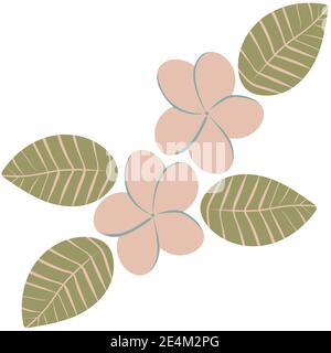 plumeria Blumen und Blätter einfache Illustration Stock Vektor