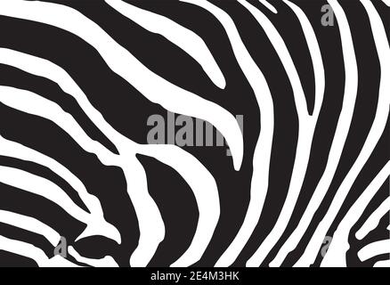 Abstrakte Hintergrundhaut eines Zebras, weiße und schwarze Farbe. Leicht editierbare Vektorgrafik mit Ebenen. Stock Vektor