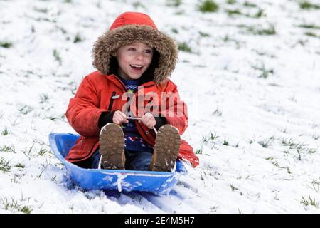 Chippenham, Wiltshire, Großbritannien. Januar 2021. Während die Chippenham-Bewohner zu ihrem ersten Schnee des Jahres aufwachen, wird ein Junge, der den Schnee genießt, bevor er auftaut, in einem lokalen Park in Chippenham abgebildet, während er auf einem Schlitten einen Hügel hinunterfährt. Quelle: Lynchpics/Alamy Live News Stockfoto