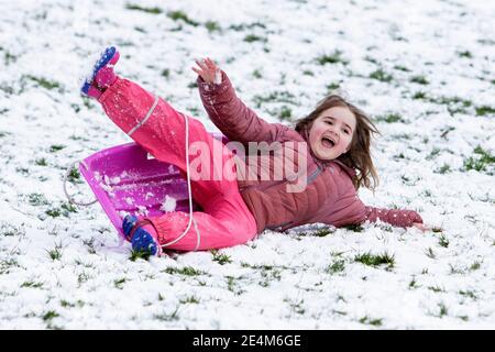 Chippenham, Wiltshire, Großbritannien. Januar 2021. Als Chippenham-Bewohner zu ihrem ersten Schnee des Jahres aufwachen, wird ein kleines Kind in einem lokalen Park in Chippenham abgebildet, während es auf einem Schlitten einen Hügel hinuntergleitet. Quelle: Lynchpics/Alamy Live News Stockfoto