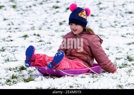 Chippenham, Wiltshire, Großbritannien. Januar 2021. Als Chippenham-Bewohner zu ihrem ersten Schnee des Jahres aufwachen, wird ein kleines Kind in einem lokalen Park in Chippenham abgebildet, während es auf einem Schlitten einen Hügel hinuntergleitet. Quelle: Lynchpics/Alamy Live News Stockfoto