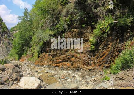 Eine Schwefelquelle, die aus einem Felsen im Wald hervortritt. Stockfoto