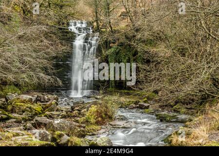 Der Blaen y Glyn Wasserfall am Fluss Caerfanell in der Central Brecon Beacons, in Südwales. Stockfoto