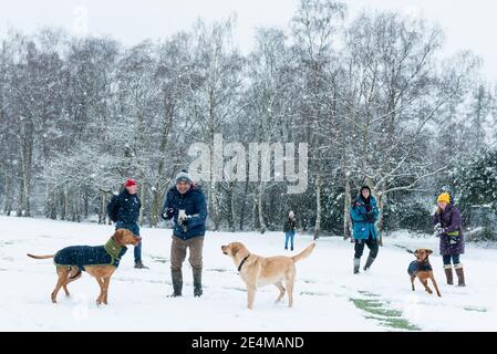 London, Großbritannien. 24. Januar 2021. UK Wetter - Menschen, die eine Schneeballschlacht auf einem schneebedeckten Golfplatz als der erste Schneefall des Jahres kommt in Northwood, Nord-West-London. Kredit: Stephen Chung / Alamy Live Nachrichten Stockfoto