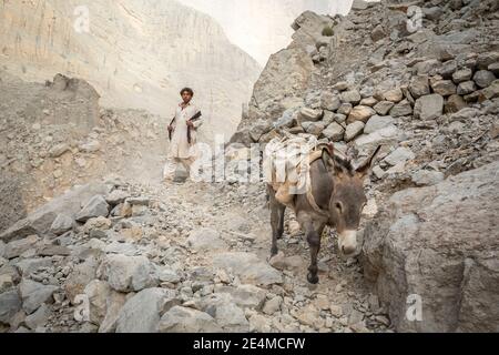 RAS Al Khaimah, Vereinigte Arabische Emirate, 23. Januar 2021: Mann mit einem Esel, der in den Bergen der VAE Brennholz kariert Stockfoto