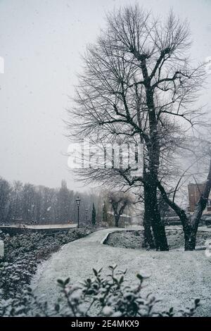 Richmond upon Thames, London - 2021.01.24: Schöner Garten mit Schnee bedeckt im Winter Sonntagmorgen Stockfoto