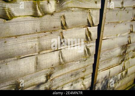 Nahaufnahme von Holzbohlen, die einen Gartenzaun bilden, mit vielen Knoten im Holz, was einen abstrakten Effekt erzeugt. Stockfoto