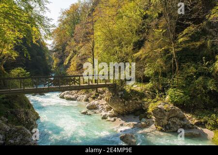 Die untere Teufelsbrücke über den Fluss Tolminka, der durch die Tolminschlucht im Nationalpark Triglav im Nordwesten Sloweniens fließt Stockfoto