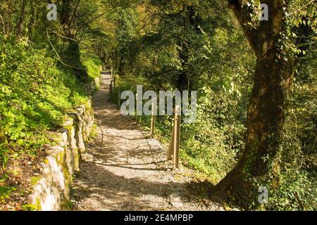 Ein schattiger Wanderweg entlang des Flusses Tolminka, der durch die Tolmin-Schlucht im Nationalpark Triglav im Nordwesten Sloweniens fließt Stockfoto