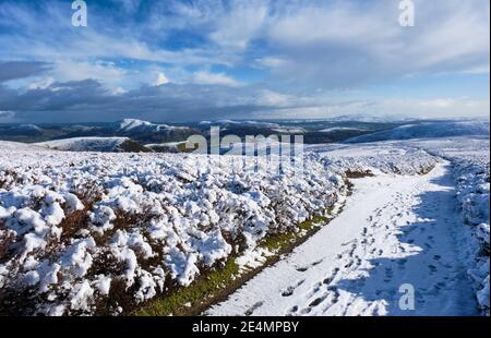 CAER Caradoc, Hope Bowdler Hill, Ragleth Hill und Brown Clee Hill im Schnee vom Burway auf dem Long Mynd, Church Stretton, Shropshire aus gesehen Stockfoto