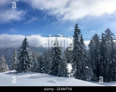 Schamserberg, Schweiz: Winterlandschaft des Naturparks Schamserberg und Piz Beverin. Stockfoto