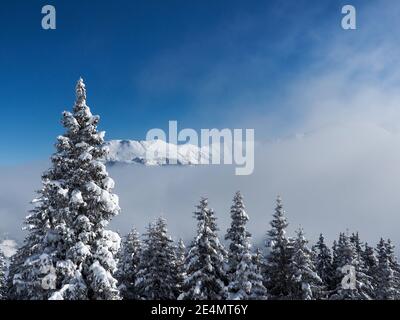 Schamserberg, Schweiz: Winterlandschaft des Naturparks Schamserberg und Piz Beverin. Stockfoto