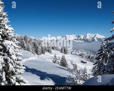 Schamserberg, Schweiz: Winterlandschaft des Naturparks Schamserberg und Piz Beverin. Stockfoto