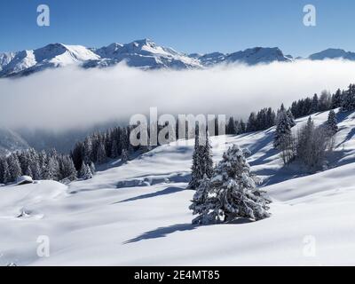 Schamserberg, Schweiz: Winterlandschaft des Naturparks Schamserberg und Piz Beverin. Stockfoto