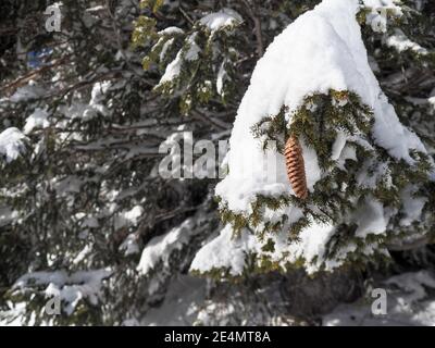 Schamserberg, Schweiz: Winterlandschaft des Naturparks Schamserberg und Piz Beverin. Stockfoto