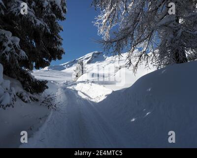 Schamserberg, Schweiz: Winterlandschaft des Naturparks Schamserberg und Piz Beverin. Stockfoto