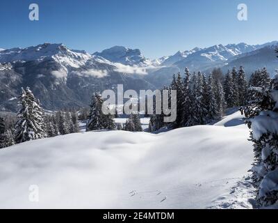 Schamserberg, Schweiz: Winterlandschaft des Naturparks Schamserberg und Piz Beverin. Stockfoto