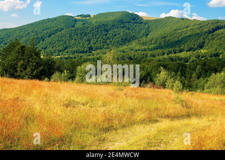 Ländliche Feld in den Bergen. Schöne Sommerlandschaft der karpaten Landschaft. Bäume auf dem Hügel, bewaldeten Kamm in der Ferne unter einem blauen Himmel w Stockfoto