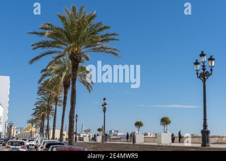 Cadiz, Spanien - 16. Januar 2021: Blick auf die Avenida Campo del Sur und die Promenade in der Innenstadt von Cadiz Stockfoto