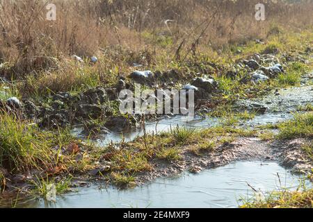 Erster Schnee und Frost auf einer unbefestigten Straße. Gefrorener Feldweg und Schlamm mit Schnee auf dem Gras Stockfoto