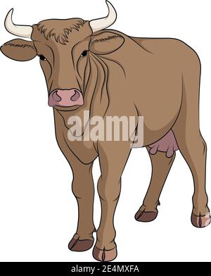 Farbabbildung mit brauner Kuh. Isoliertes Vektorobjekt auf weißem Hintergrund. Stock Vektor