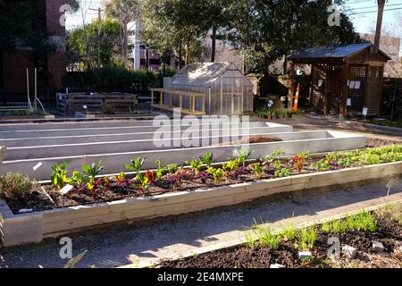 Stadtgärten, Park, Dirt Oven, Veranstaltungen, berühmte historische Personen, Familien, Kale, Cabbages, Boden, Pavillon, kaltes Wetter Abdeckung, und Vegetarische Wortspiele Stockfoto