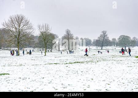 Die Menschen genießen den Schnee in Prospect Park, Reading, Berkshire, Großbritannien. Obwohl es eine Coronavirus-Sperre gibt, genießen die Menschen ihre Bewegung. Stockfoto