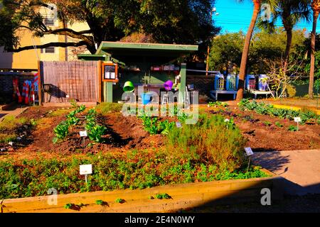 Stadtgärten, Park, Dirt Oven, Veranstaltungen, berühmte historische Personen, Familien, Kale, Cabbages, Boden, Pavillon, kaltes Wetter Abdeckung, und Vegetarische Wortspiele Stockfoto