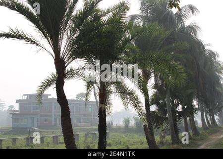 Wintermorgen Fotoaufnahme aus Bangladesch. Naturfotografie aus Bangladesch Stockfoto