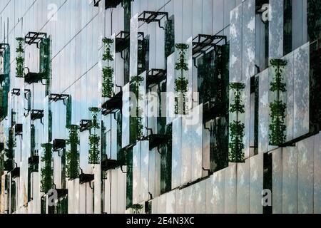 Glaswand des modernen Gebäudes, Moskau, 28.07.2020 Stockfoto