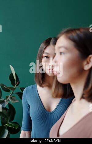 Junge Brünette asiatische Frau im casualwear Blick auf Sie, während Hinter ihrer Zwillingsschwester stehend gegen häusliche Pflanze und dunkel Grüne Wand Stockfoto