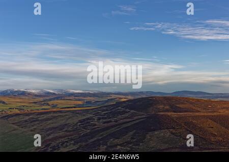 Die Erdwälle des Brown Caterthun Iron Age Hill Fort aus dem White Caterthun, mit dem Strathmore Valley im Hintergrund. Stockfoto