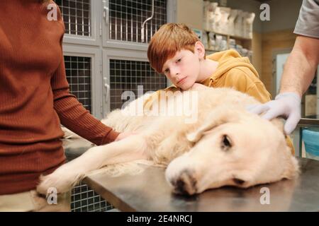 Kleiner Junge, der sich während der medizinischen Untersuchung um sein Haustier sorgt Tierarztklinik Stockfoto