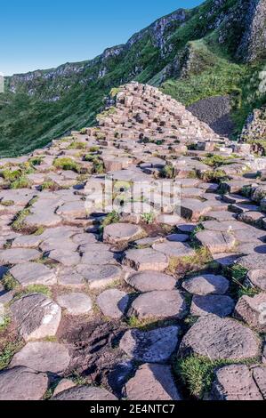 Giants Causeway einzigartige sechseckige Gesteinsformationen an der Küste in County Antrim, Nordirland, Vereinigtes Königreich, im Abendlicht. Stockfoto