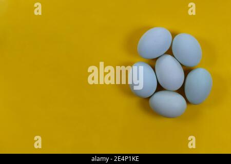 Gruppierung von blauen Erbstück Eier auf einem hellen gelben Hintergrund mit Copy Space, Ostern Thema, Kochen, Küche Thema, Baby Thema Stockfoto