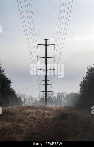 Elektrische Leitungen und Turm schneiden durch den Wald und die Nebel an einem Wintermorgen Stockfoto