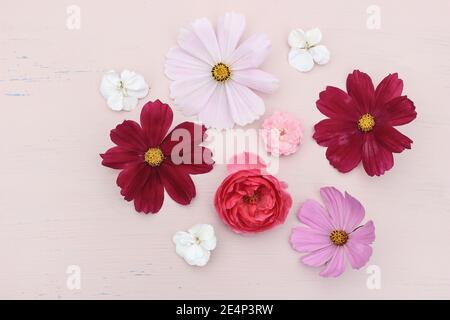 Stock-Foto im Frühling oder Sommer-Stil. Feminine Komposition mit rosa Rose, Kosmos und Geranienblumen auf grunge rosa Tischhintergrund. Blumenmuster Stockfoto