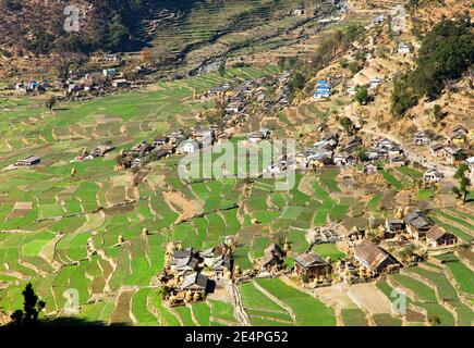 Dogadi Dorf mit terrassenförmigem Reis oder Reisfeld - wunderschön Dorf im Westen Nepals Stockfoto