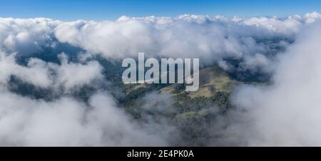 Wolken treiben über dem gemischten immergrünen Wald, der die Santa Cruz Berge bedeckt. Dieser Teil von Kalifornien ist die Heimat von Redwood-Bäumen und malerischen Stränden. Stockfoto