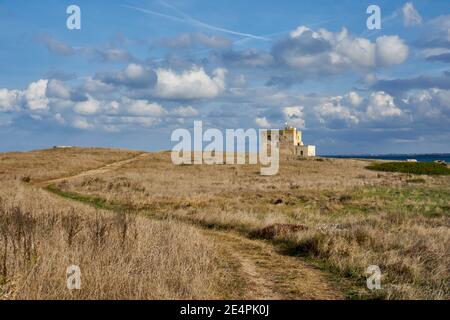 XVI Jahrhundert Antike Verteidigungsturm Torre Guaceto in der Inmitten EINES Naturreservats an der Küste Apuliens Italien Stockfoto