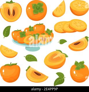 Persimmon Icons Set, ganze Frucht, Hälfte, Scheiben, mit und ohne Samen Stock Vektor