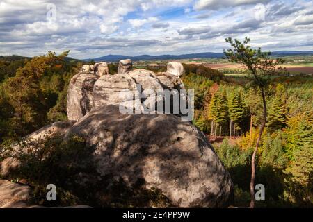 Klippen in der Mitte des Pinienwaldes an einem schönen Tag. Stockfoto