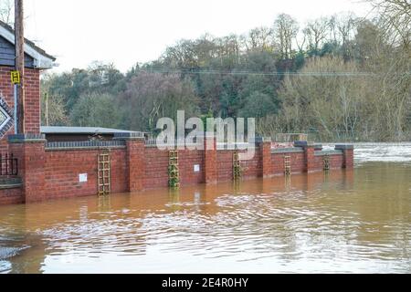 Bewdley, Großbritannien. Januar 2021. Flutwasser am Fluss Severn in Bewdley ist über das Flussufer geplatzt und kann entlang einer Gartenmauer in Richtung eines Wohngrundstücks vorrücken Stockfoto