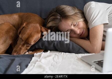 Frau mit ihrem schönen Hund Vizsla zusammen schlafen auf dem gleichen Kissen auf der Couch zu Hause. Stockfoto