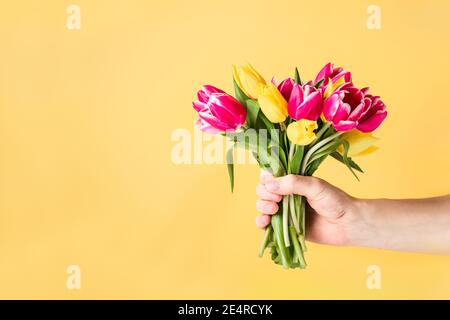 Männliche Hand hält schöne frische rosa und gelben Tulpen Bouquet auf hellgelben Hintergrund. Grußkartenmockup. Geburtstag, Valentinstag, Mutter Stockfoto