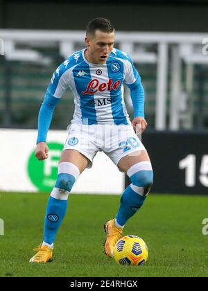 VERONA, ITALIEN - JANUAR 24: Piotr Zielinski von Neapel während der Serie EIN Spiel zwischen Hellas Verona FC und SSC Napoli im Stadio Marcantonio Bentegodi Stockfoto