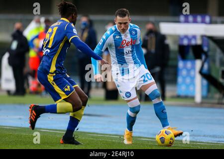 VERONA, ITALIEN - JANUAR 24: Piotr Zielinski von Neapel während der Serie EIN Spiel zwischen Hellas Verona FC und SSC Napoli im Stadio Marcantonio Bentegodi Stockfoto