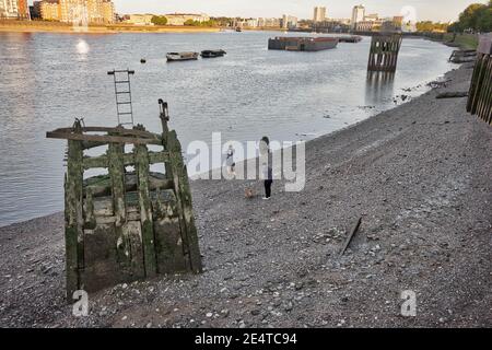 Mann und Frau liefen mit dem Hund auf der Themse Ebbe Nachmittag während Sonnenuntergang Stockfoto